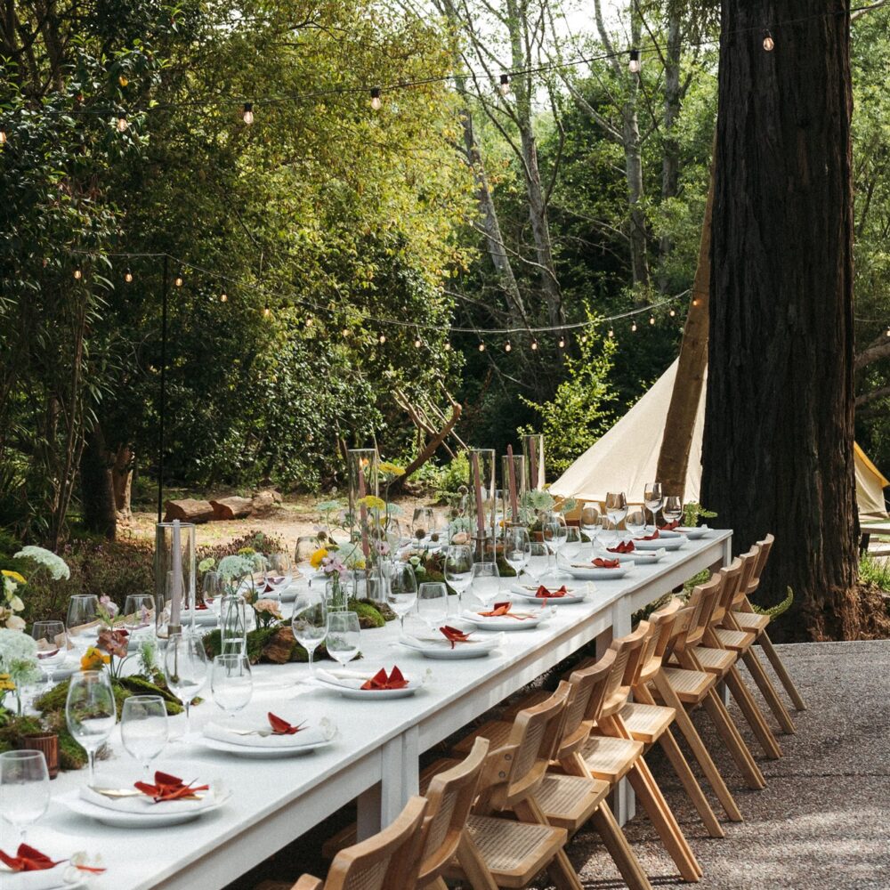 Long table set with dinner place settings outdoors under the redwoods
