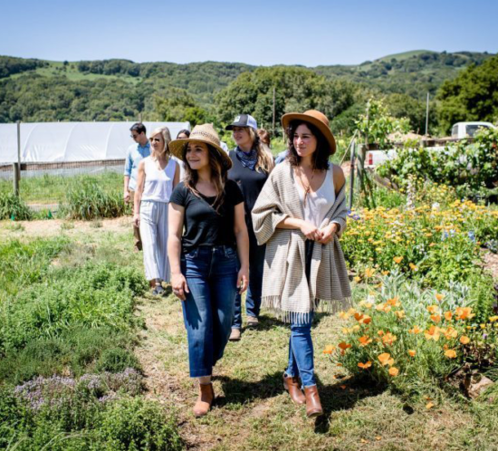 FOOD & FARM TOURS