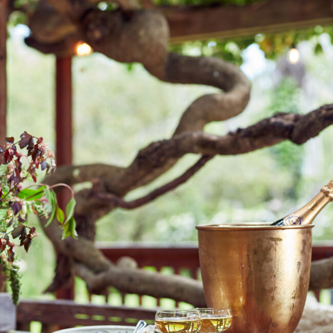 Champagne and Oysters