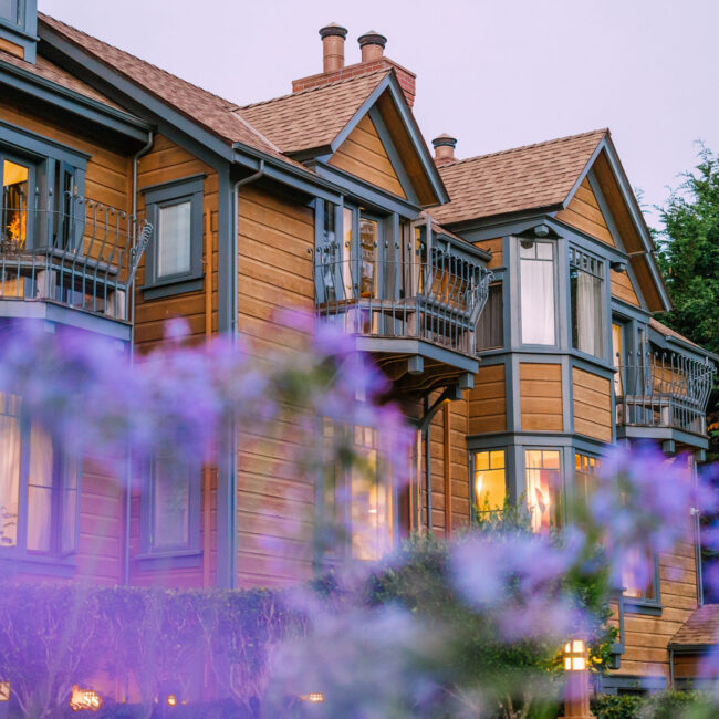 Olema House Spring Wildflowers