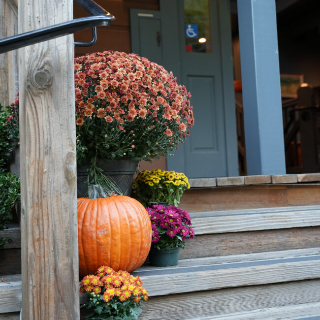Halloween at Due West